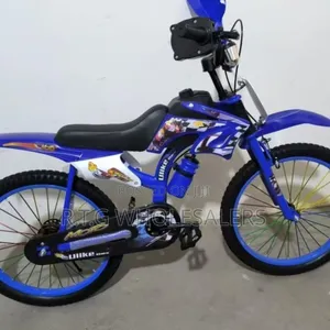 Premier Racing Bike 20” Kids BMX Style