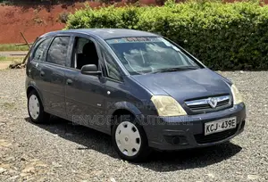 Vauxhall Meriva 2009 Gray