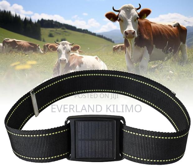 Solar Power Gps Tracker - main view
