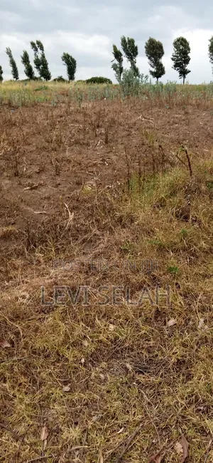Plot for Sale