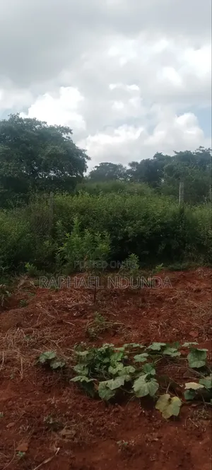 Land on Sale - Kithimani, Yatta