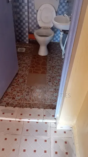 1bdrm Apartment in Ruaka for rent
