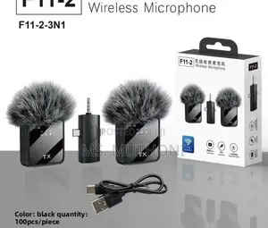 Dual Microphones Clip On Lavalier Rechargeable Wireless Microphone