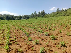 Land on Sale in Kikuyu. D.M