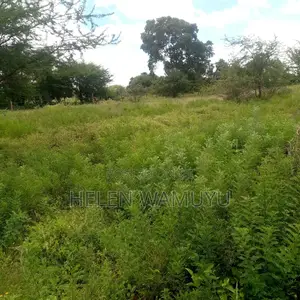 50*100 Plot at Kithyoko Mbakini Centre