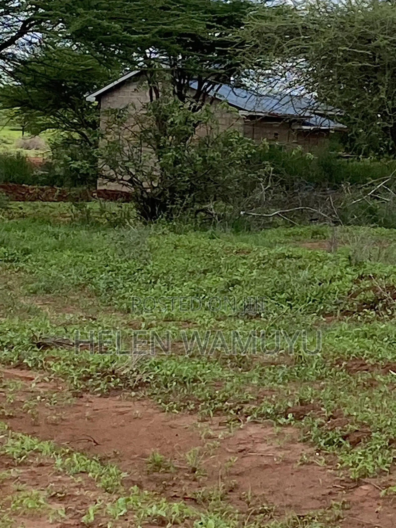 50*100 Plot at Kithyoko Mbakini Centre