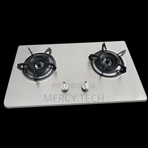 2-Burner Stainless Steel Gas Cooktop