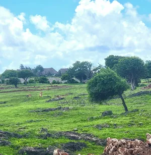 Prime Beach Plots for Sale in Malindi, Casuarina