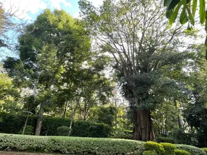 5 Acres in Karen