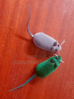 Soft Small Cat Toys for Indoor Cats Interactive for Cats and Kittens