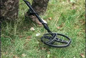 Metal Detecting Services
