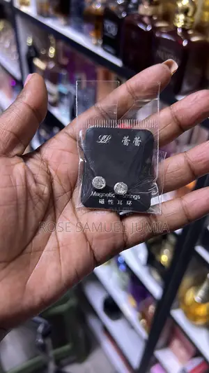 Magnetic Studs