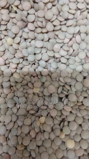Green Lentils