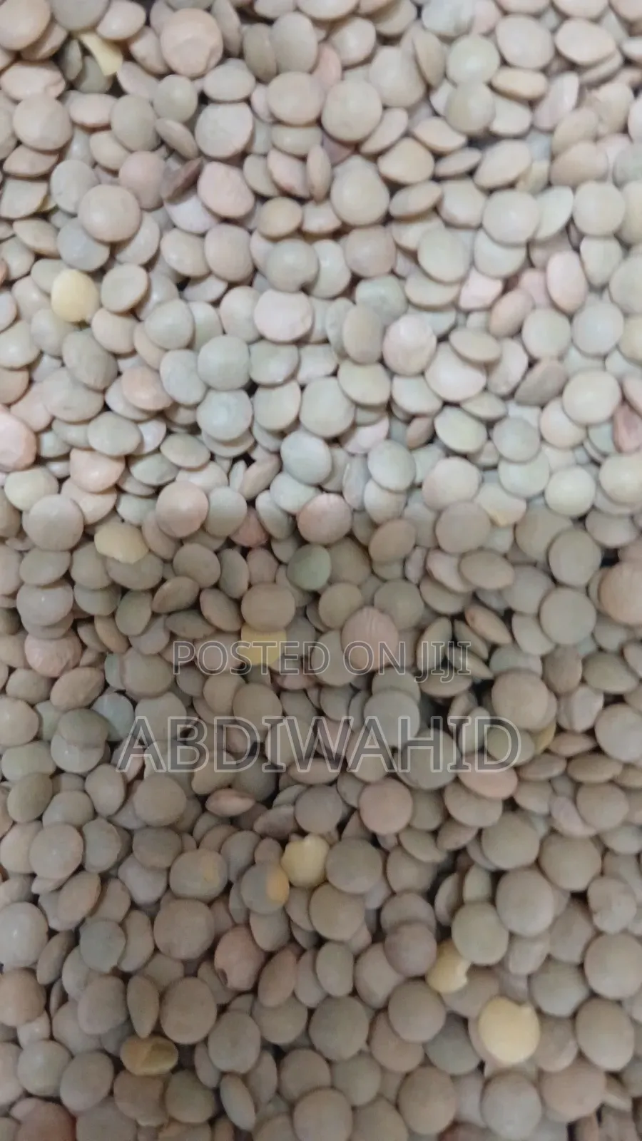 Green Lentils