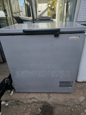 250l Closed Freezer