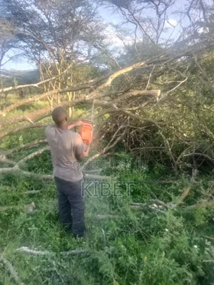 Tree Service