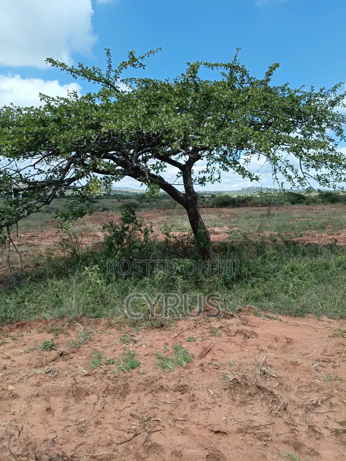 Plot for Sale