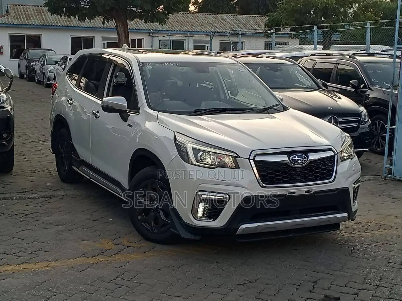 Subaru Forester 2019 Pearl