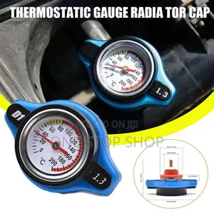 Thermostatic Gauge Radiator Cap