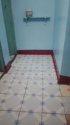 Professional Painting