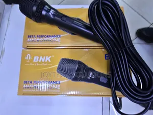 Best for Churches Events: BNK B-1 Beta Performance Mic