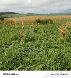 Commercial Land