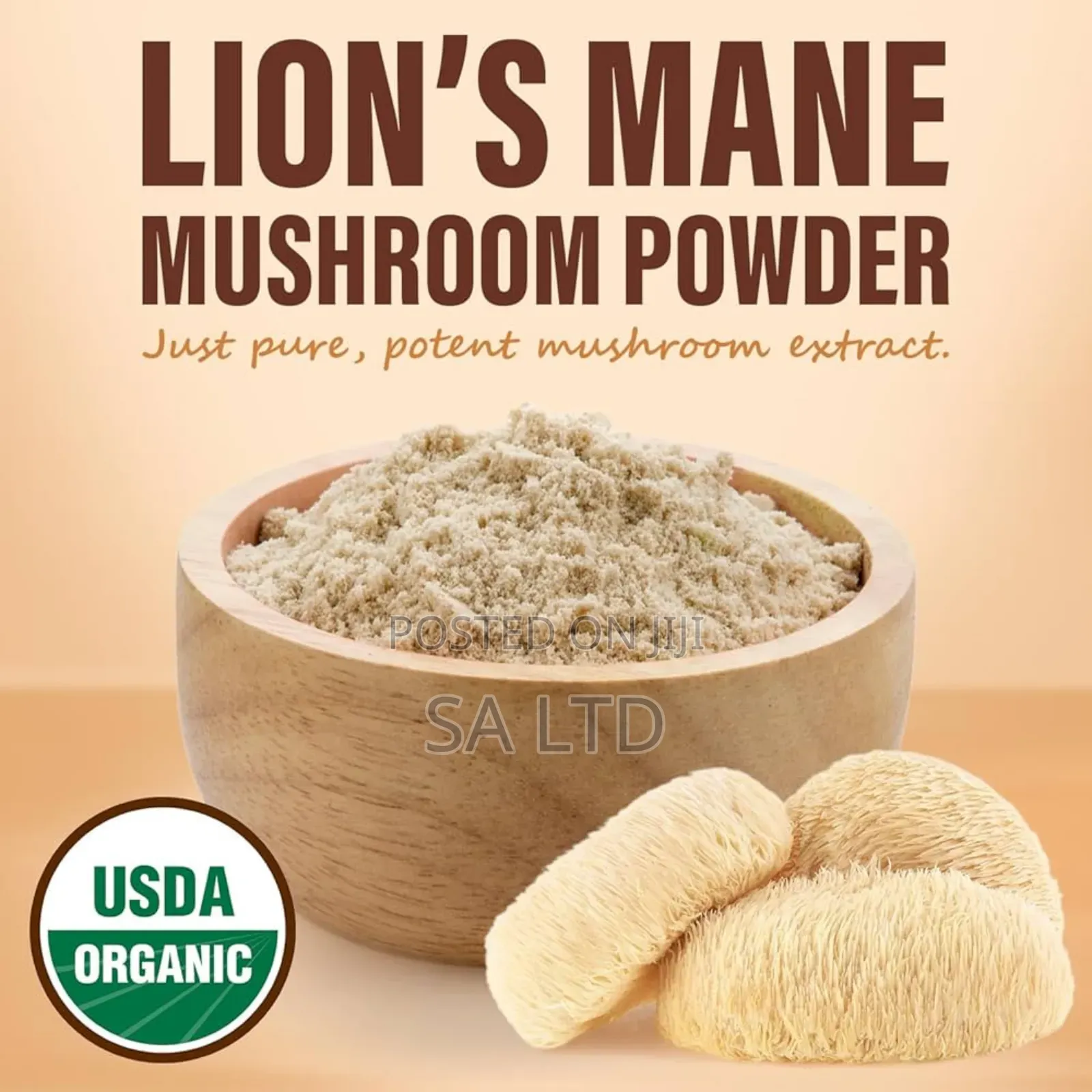 Lion's Mane