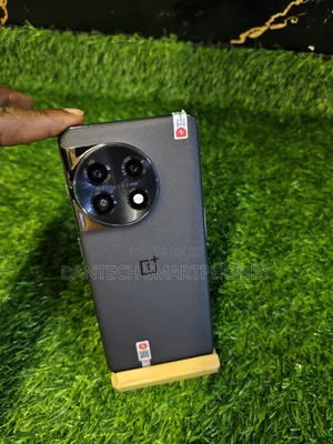 OnePlus 11 256 GB Gray