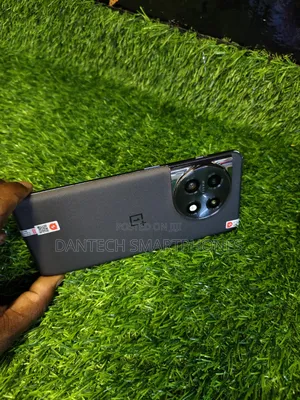 OnePlus 11 256 GB Gray