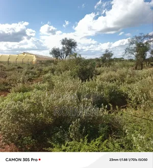 Farming Land