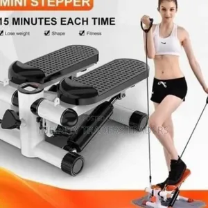 Mini Exercise Stepper Machine