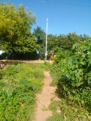 1/4 Acre Plot on 2nd Row Only 250 Metres From the Beach.