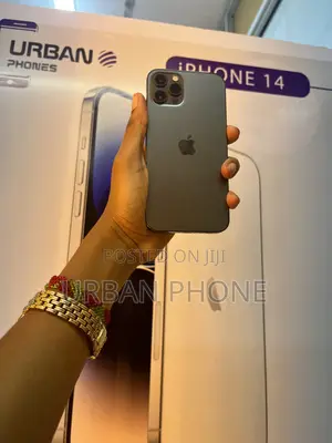 Apple iPhone 12 Pro 256 GB Gray