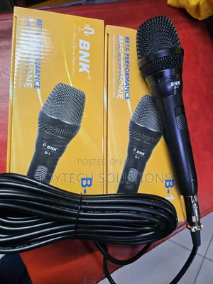 Original BNK B-1 Dynamic Mic – Perfect for Church, Events Karaoke