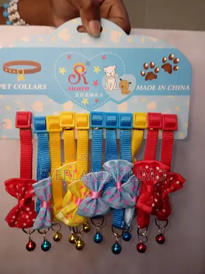 Colorful Cat Collars