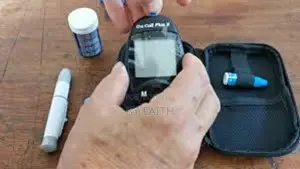 Freestyle Lite Blood Glucose Monitoring System