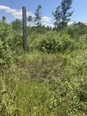 Residential / Commercial Land
