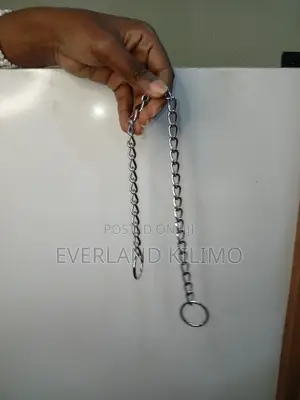 Stainless Small Choke Chain
