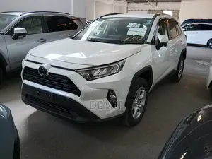 Toyota RAV4 LE AWD 2019 White