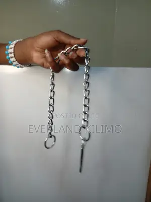 Stainless Pet Chain Collar