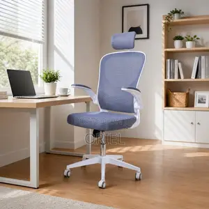 Office Chairs : Ergonomic High-Back Office Chair
