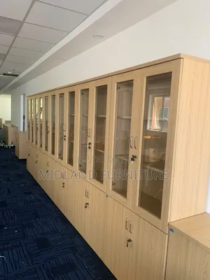 Filing Cabinets Storage Cabinet – Stylish, Secure Functional