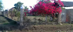 Creek Plots for Sale