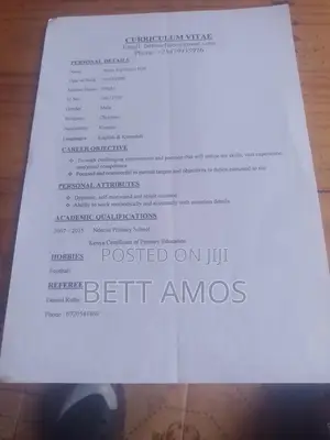 Housekeeping Cleaning CV
