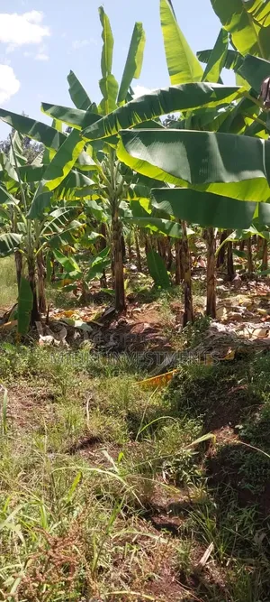 3 Acres on Sale Summary Area-Casablanca