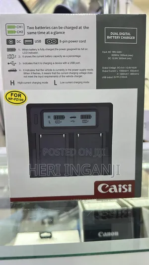 Caisi Np -Z100 Dual Charger With LCD Display