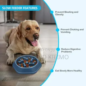 Interactive Slow Feeder Bowl