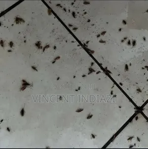 Fumigation Services