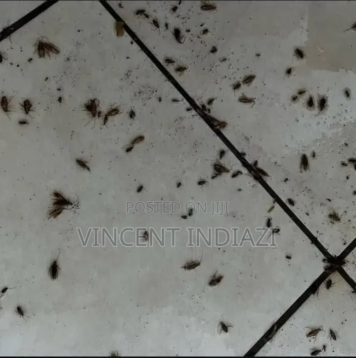 Fumigation Services