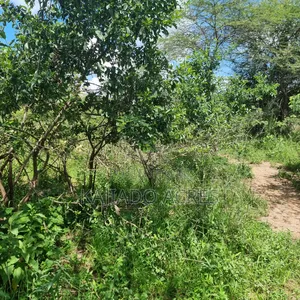 30 Acres Mashuru